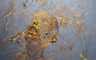 Dissociation-Noel-Hunter-Therapy
