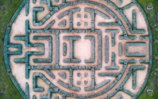 trauma maze