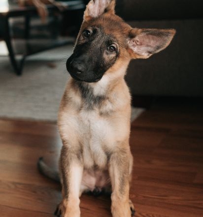 dex-ezekiel-Change-therapy-Mindclear