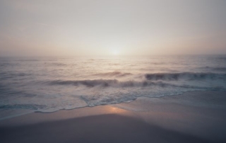 todd-trapani-unsplash-happiness-MindClear-Therapy