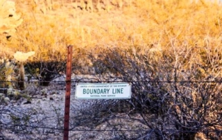 erin-larson-boundaries-therapy-NYC