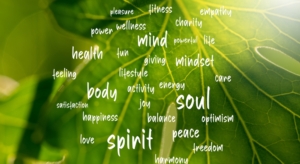 holistic-therapy-nyc-mind-body