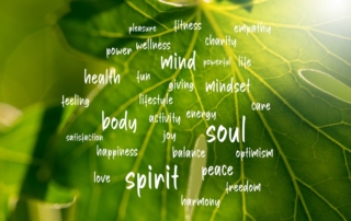 holistic-therapy-nyc-mind-body